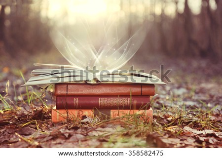 Books on nature sunny background. Sunny day. Mystic day. Mystic books