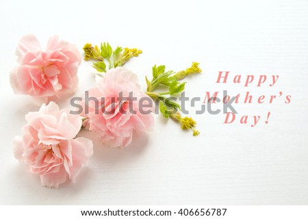 Mother\'s day card. Pink carnations.