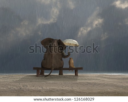 Elephant And Dog Sit Under The Rain