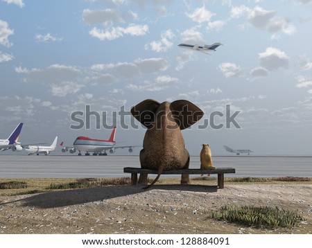 elephant and dog sitting at the airport