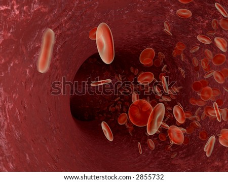 blood in a artery