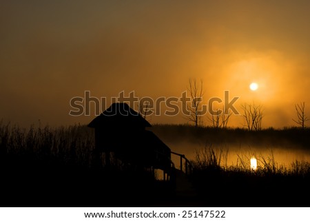 Bird hide at misty sunrise or sunset