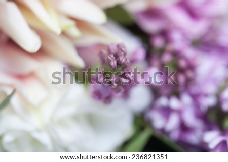 flowers closeup, macro shooting, lilac, rose, pink flowers, purple flowers, greens closeup, soft, pastel colors, pastel colors