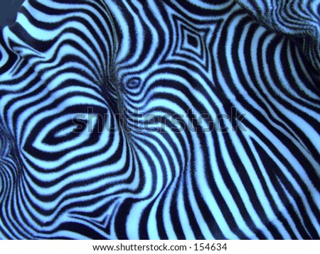 desktop wallpaper zebra. desktop wallpaper zebra print.