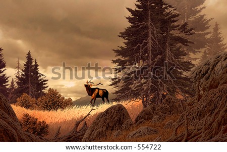 Elk in the Rocky Mountains / Illustration / AF-060