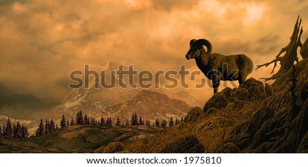 Bighorn Sheep In The Rocky Mountains / Image from an original 12x24 painting. / SW-005