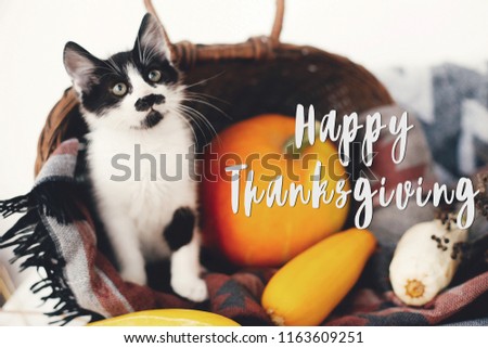 Happy Thanksgiving text, seasons greeting card. Thanksgiving sign. Cute kitty, pumpkin, wicker basket on wooden background. Cat and autumn vegetables