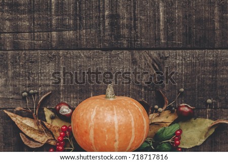 halloween  or thanksgiving concept greeting card flat lay. beautiful pumpkin with leaves and berries on rustic wooden background, top view. space for text. cozy autumn mood. fall holiday