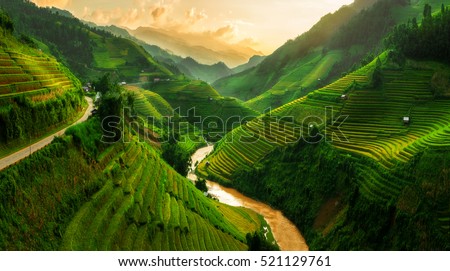Terraced rice field landscape near Sapa in Vietnam. Mu Cang Chai Rice Terrace Fields stretching across the mountainside, layer by layer reaching up as endless, with about 2,200 hectares of terraces