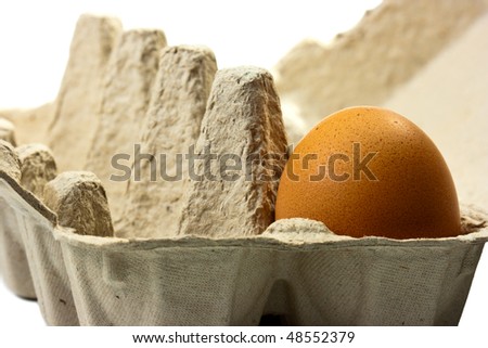 Brown egg in carton packaging