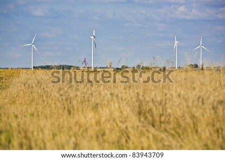 Wind turbines. Alternative energy source.