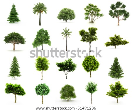 background trees group isolated twenty pieces resolution perfect tree 3d shutterstock search