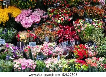 Flowers Shop on Beautiful Colorful Flowers In Flower Shop Stock Photo 52827508