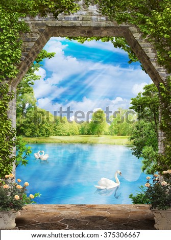 the pond with swans