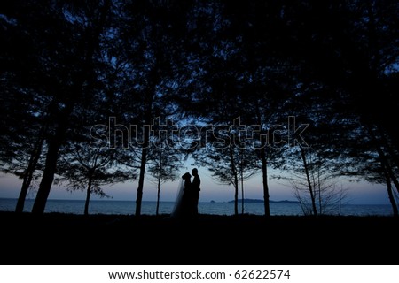 bridal in forest silhouette