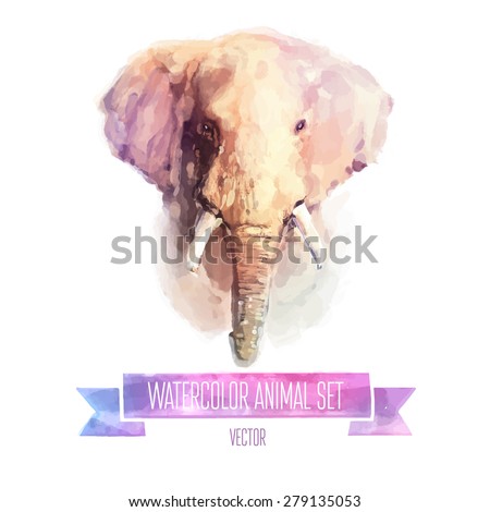 Vector set of animals. Elephant hand painted watercolor illustration isolated on white background