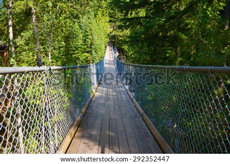 Suspension Bridge at the Cracy Creek Falls, British Columbia, Canada