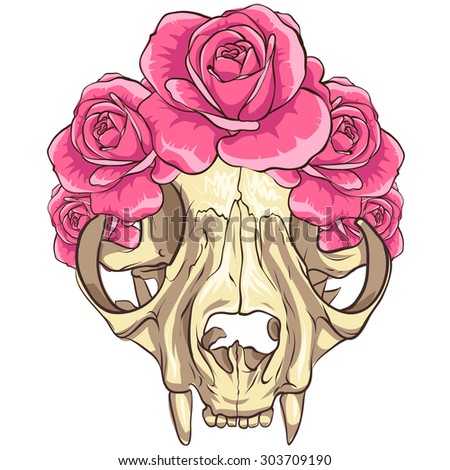 Cat skull with pink flowers.White background.