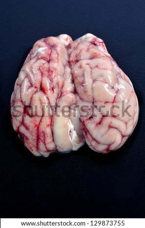 A fresh raw pigs brain on a black background