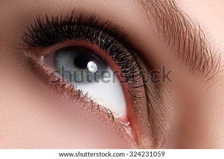 Macro shot of woman\'s beautiful eye with extremely long eyelashes. Sexy view, sensual look. Female eye with long eyelashes. Eyelashes extensions. Perfect make-up