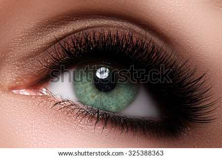Macro shot of woman's beautiful eye with extremely long eyelashes. Sexy view, sensual look. Female eye with long eyelashes. Eyelashes extensions. Perfect make-up