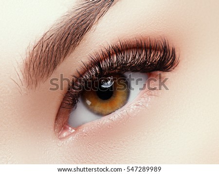 Beautiful face makeup. Long natural eyelashes. Perfect make-up closeup. Part of female face. Glamour lashes and black eyeliner make up. Perfect art, cosmetic and beauty. Eye with lashes