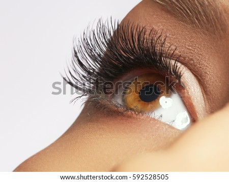 Beautiful macro shot of female eye with extreme long eyelashes and black liner makeup. Perfect shape make-up and long lashes. Cosmetics and make-up. Closeup macro shot of fashion eyes visage