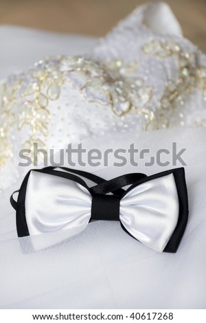 Bow tie is on the bride\'s dress.