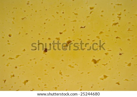 Yellow cheese with holes as a background