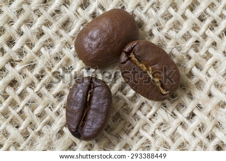 picking up coffee bean with tweezers