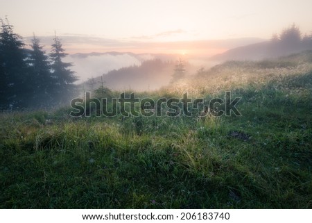 Foggy mountain morning, Carpathian mountains, Ukraine