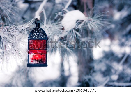 Red lantern on the snowy tree