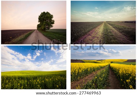 Set of beautiful countryside landscape