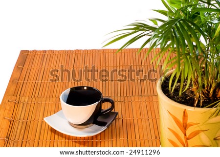 Japanese coffee table with house plant in a pot