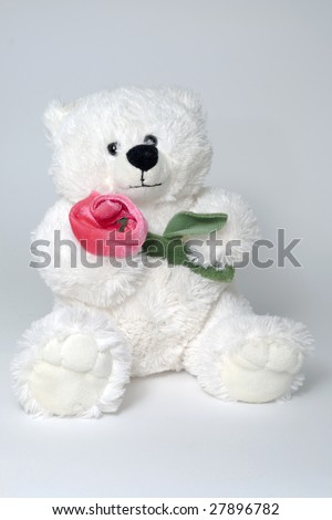 white toy bear holding red rose in arms