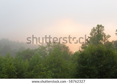 Misty hilly area with fog at sunrise