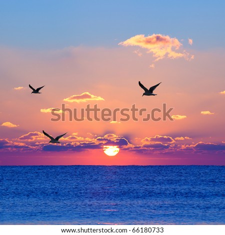 Red rising sun above the dark blue sea with seagulls