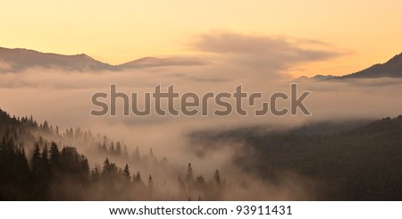 Foggy morning mountain valley. Great Smoky Mountain National Park, Tennessee, USA