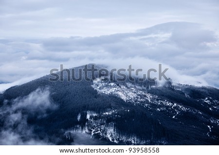 Winter Smoky mountains. Tennessee, USA