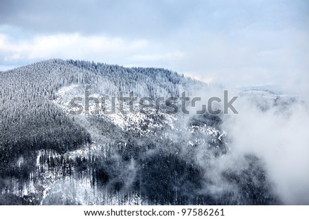 Winter at Great Smoky Mountain National Park, Tennessee, USA