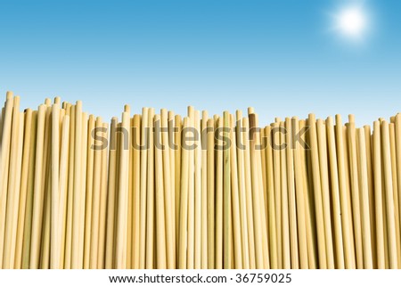 Fence from set of bamboo sticks agaunst clear sky