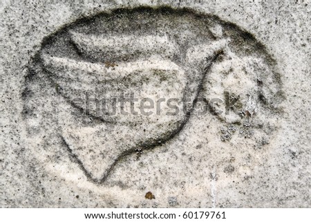 Detail of nineteenth century gravestone with dove and olive branch bas-relief