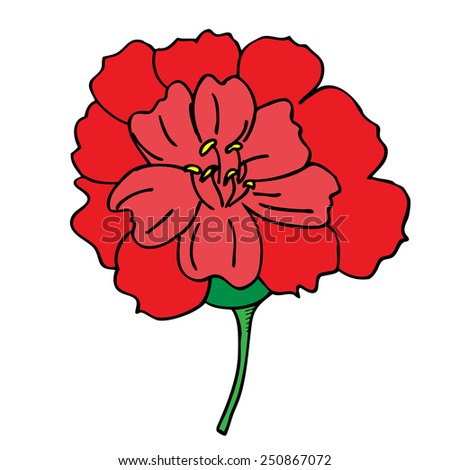 Bright red rose flower spring vector illustration isolated on white background