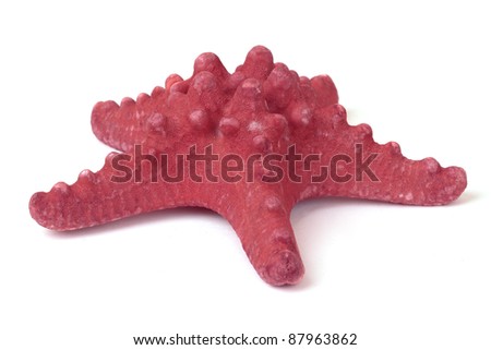 Red Starfish from oceans deep water. Isolated on white, with clipping path.
