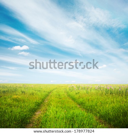 country road in the fields, bright fantasy background