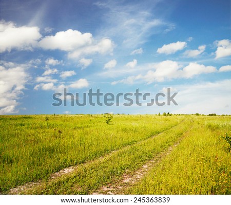 country road in the fields
