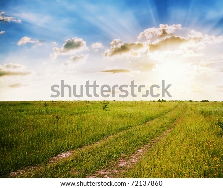 sunset in the fields, rural landscape with country road