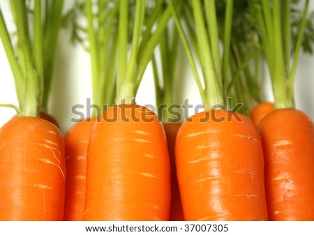 Carrot Tops