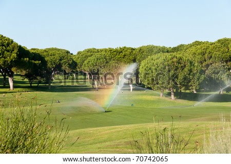 Golf player in the golf field with pine trees and rainbow from watering