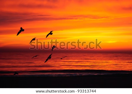 The sun rises as a group of birds flies by